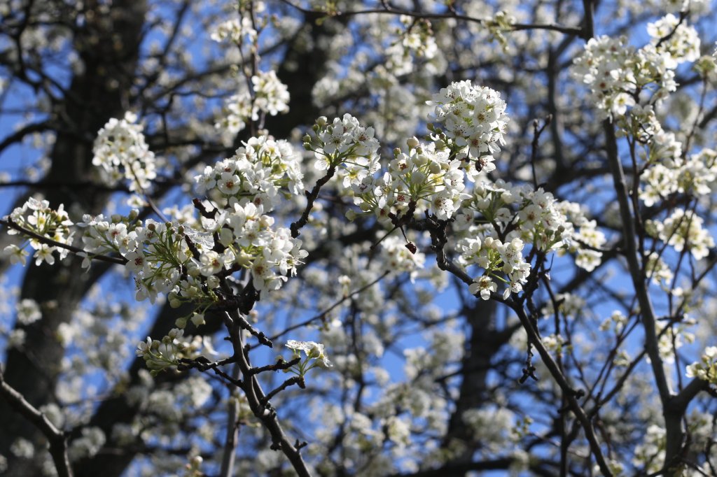 Adventures With Spokhette #24: The Art&nbsp;Museum