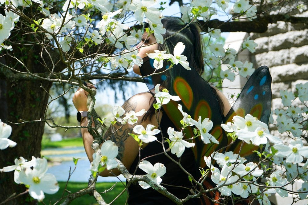 upload in progress, 0