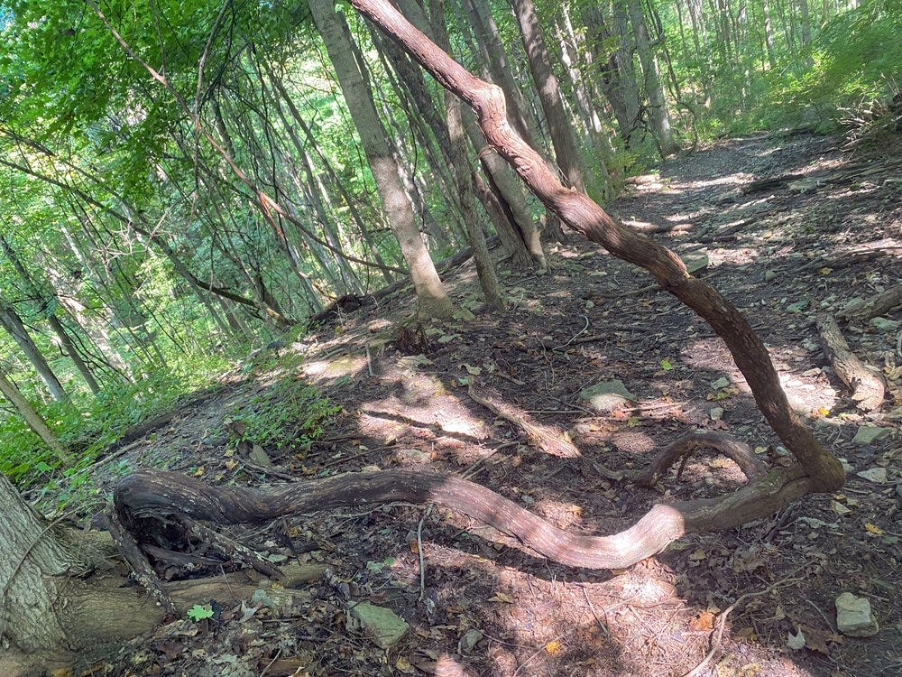 upload in progress, 0