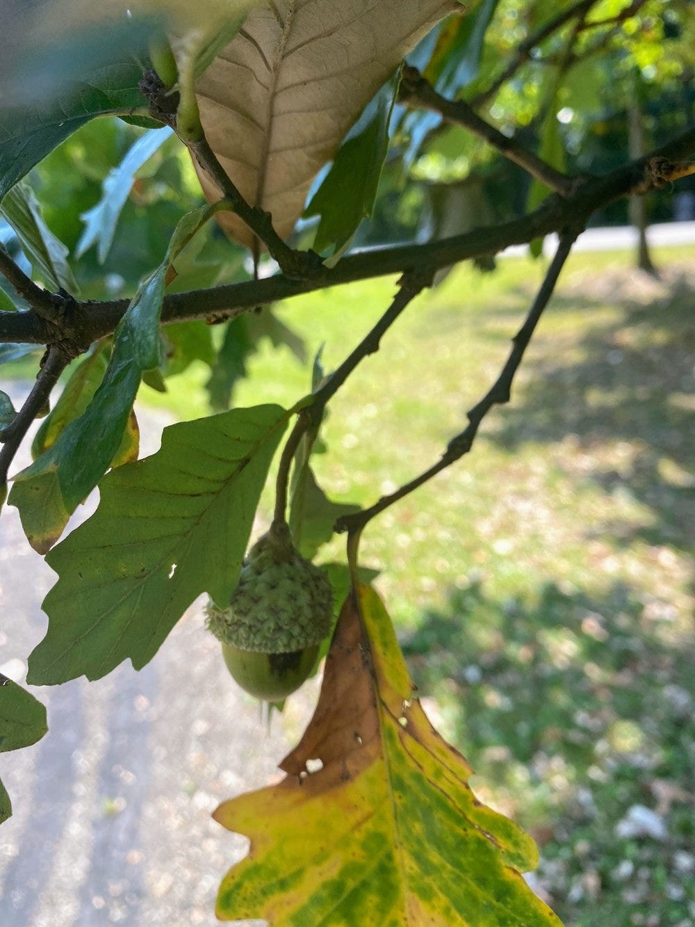 upload in progress, 0