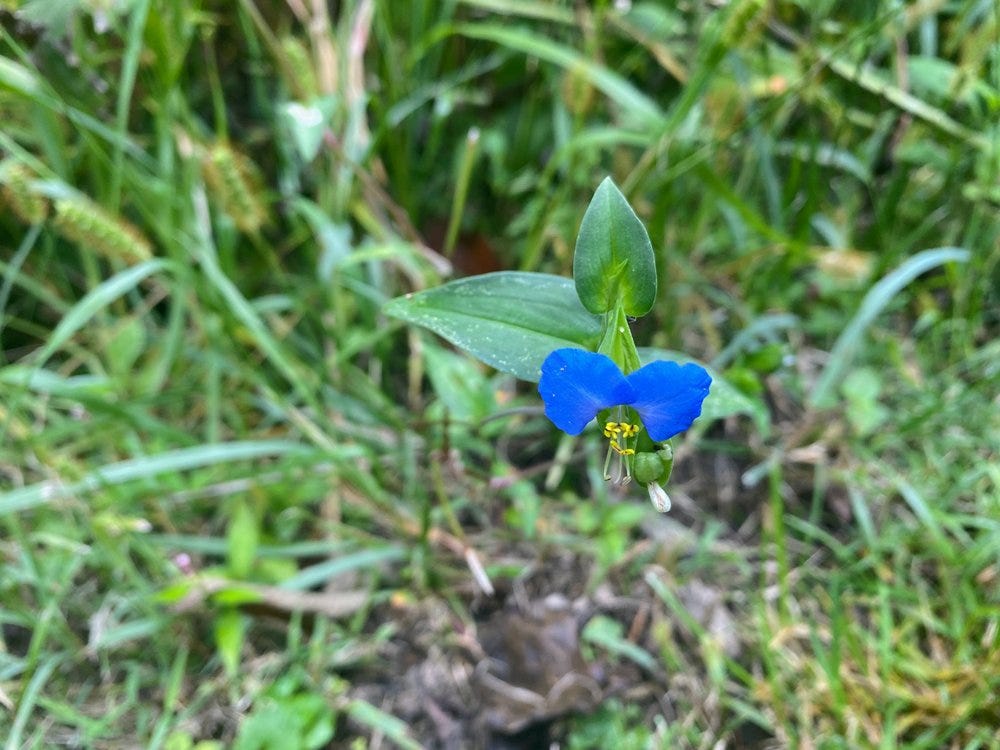 upload in progress, 0